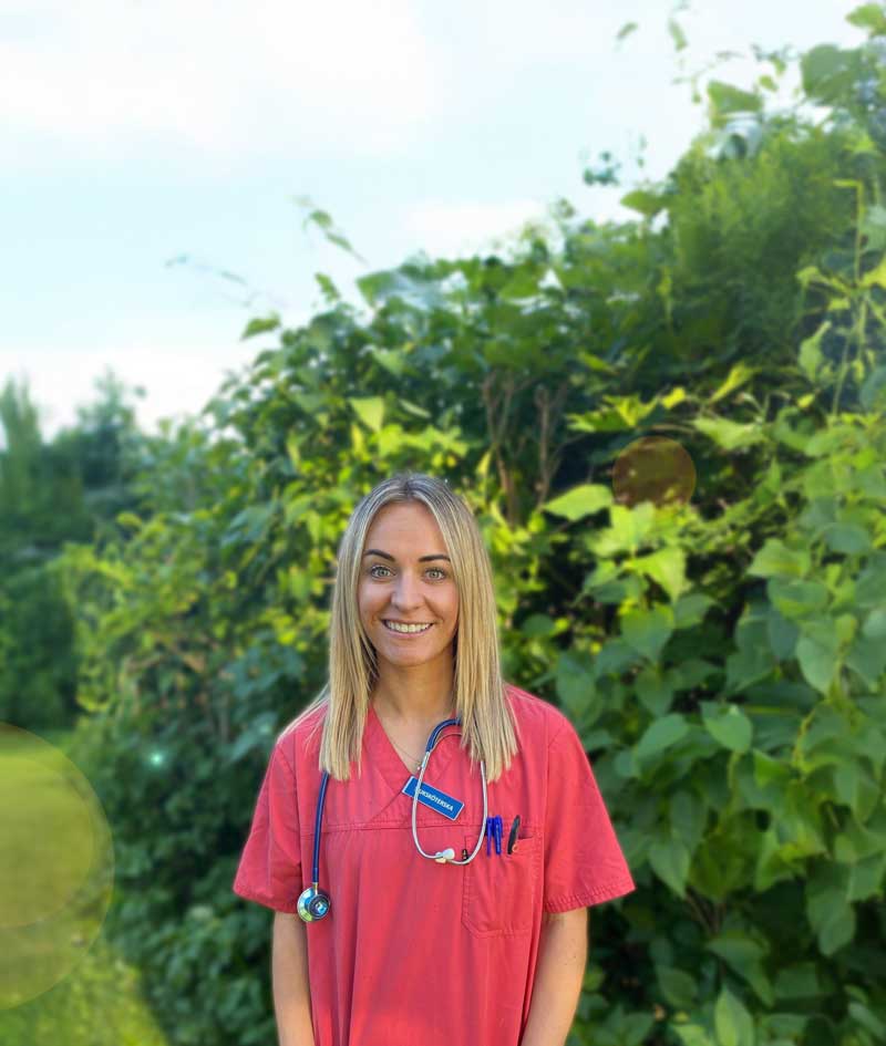 Alvita-care-Bemanning